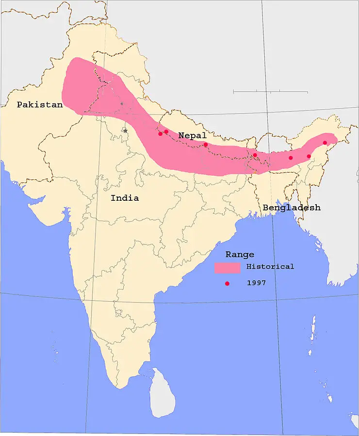 Носоріг індійський карта середовища проживання