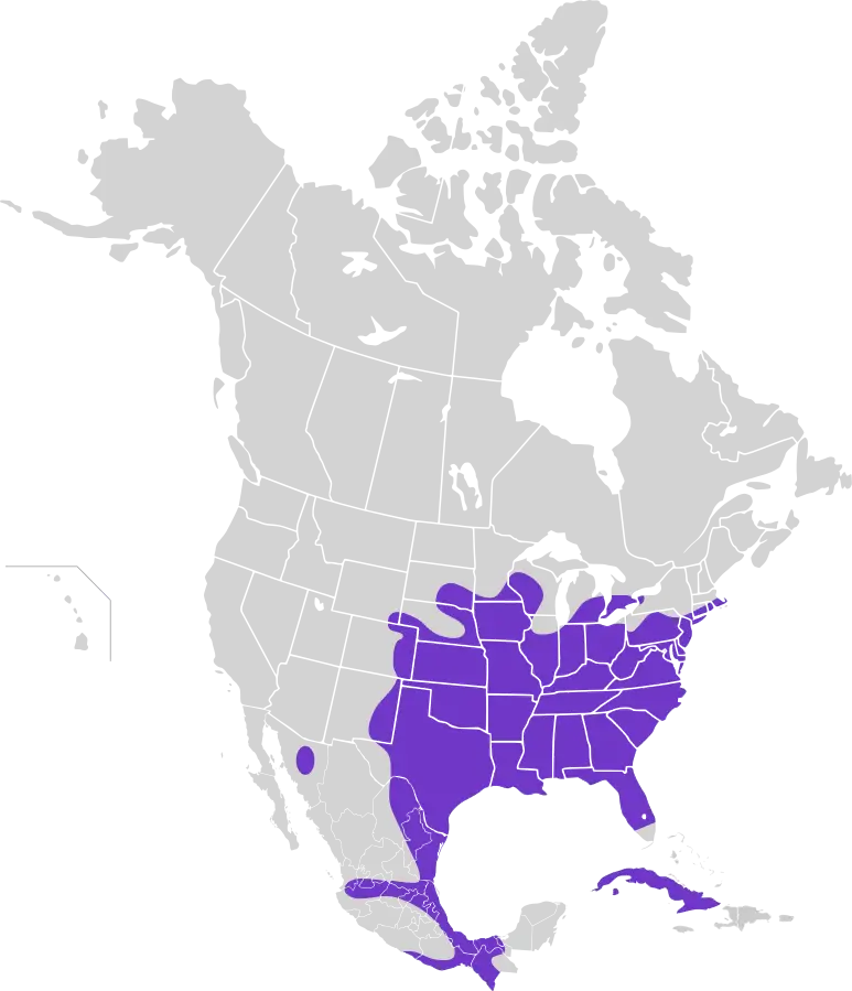 Northern Bobwhite habitat map