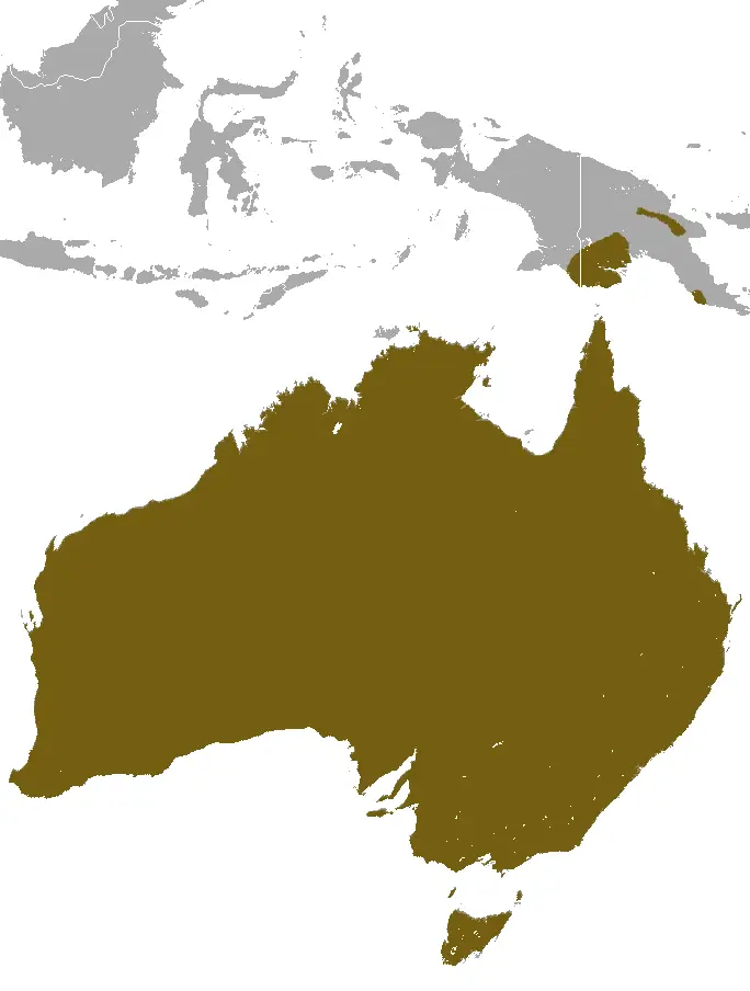 Short-Beaked Echidna habitat map