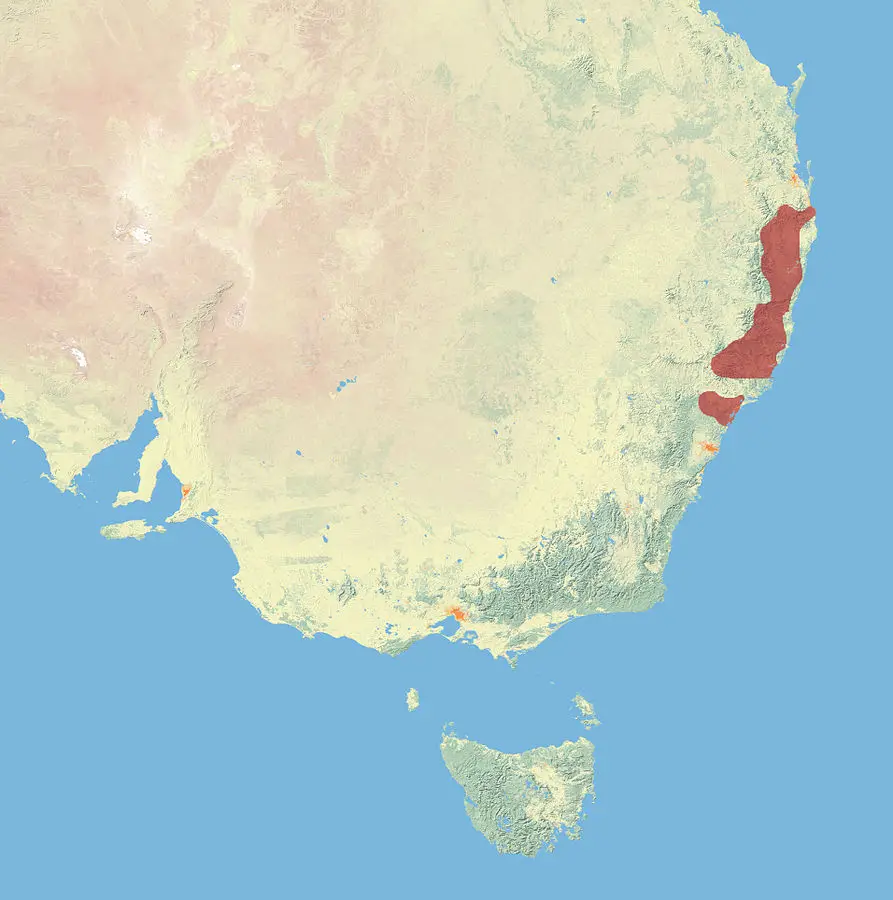 Parma Wallaby habitat map