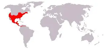 Сіра лисиця карта середовища проживання