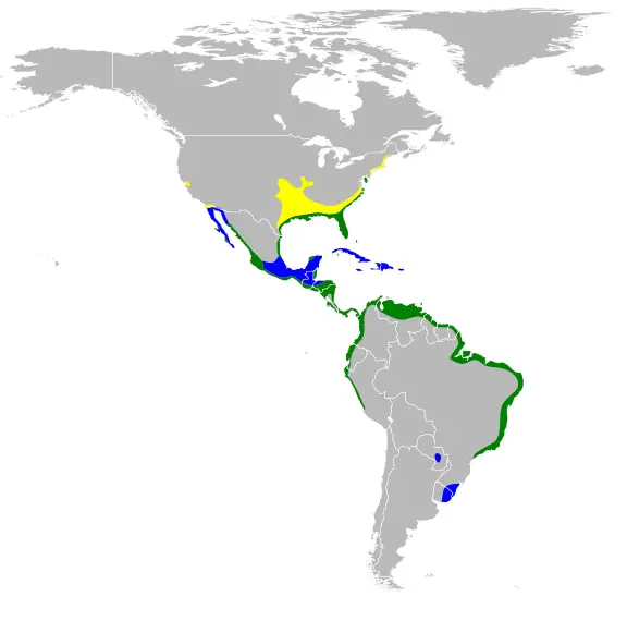 Garceta azul mapa del hábitat