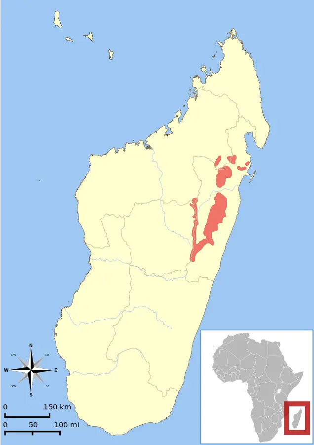 Diademed Sifaka habitat map
