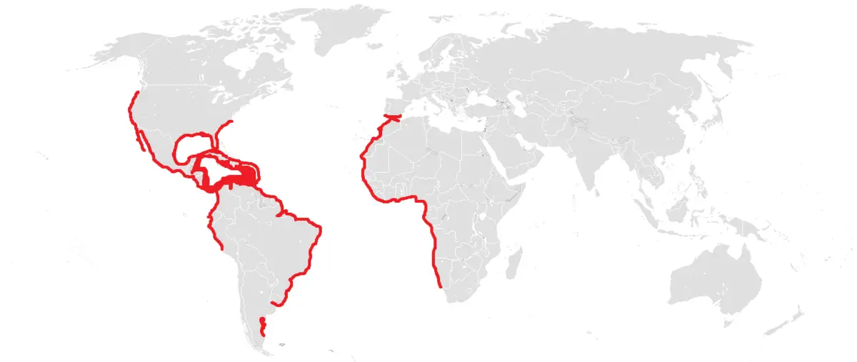 Royal Tern habitat map