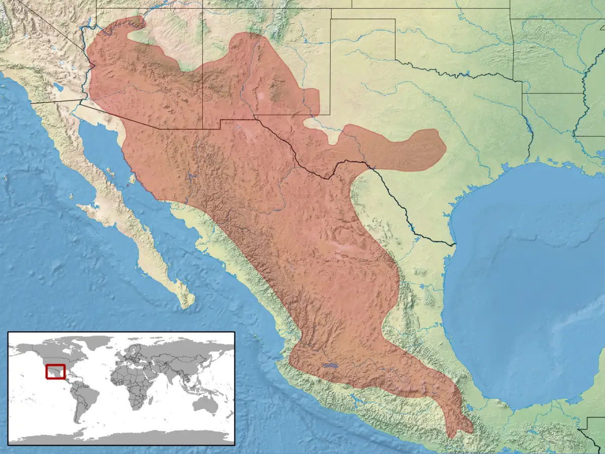 Cascabel de cola negra mapa del hábitat