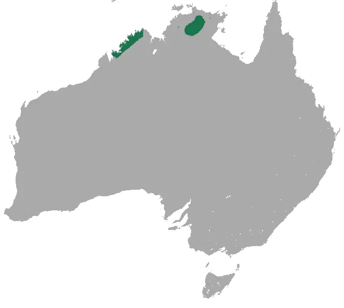 Petrogale concinna карта середовища проживання