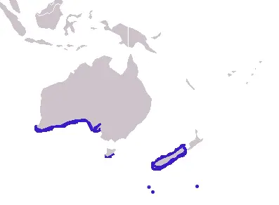 Новозеландський морський котик карта середовища проживання
