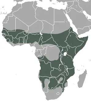 Гієна плямиста карта середовища проживання