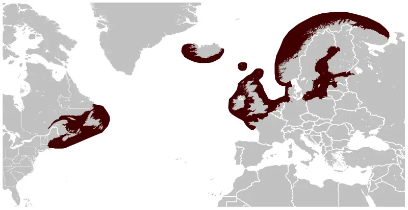 Gray Seal habitat map