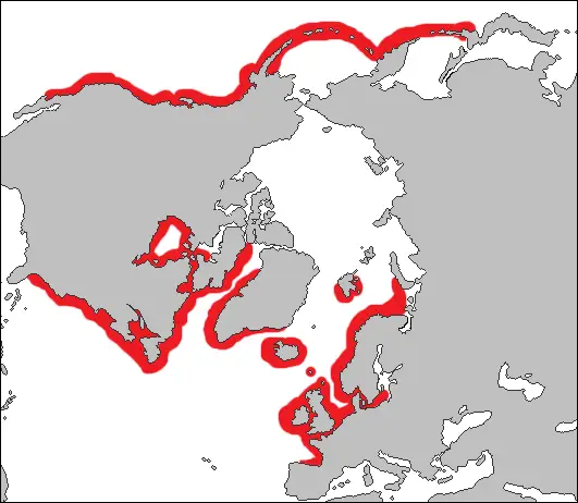 Тюлень звичайний карта середовища проживання