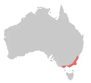 Gang-Gang Cockatoo habitat map