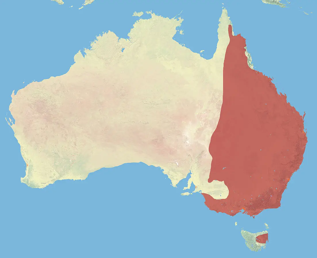 Eastern Grey Kangaroo habitat map