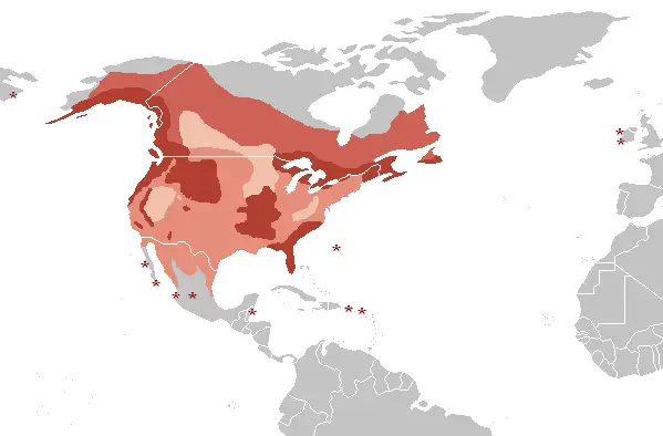 Орлан білоголовий карта середовища проживання