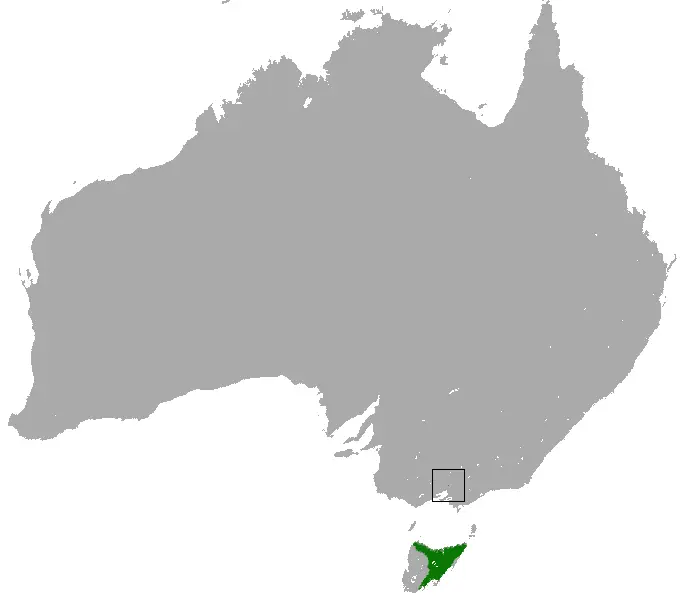 Бандикут тасманійський карта середовища проживання