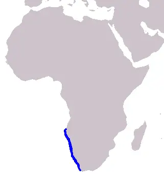 Heaviside's Dolphin habitat map
