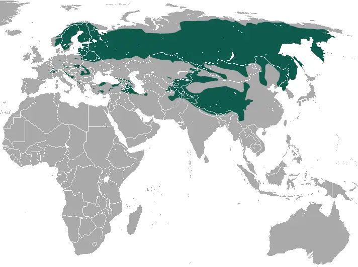 Eurasian Lynx habitat map