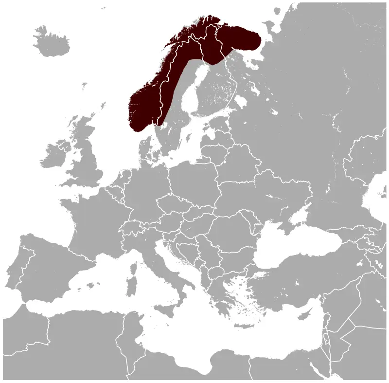 Лемінг норвезький карта середовища проживання