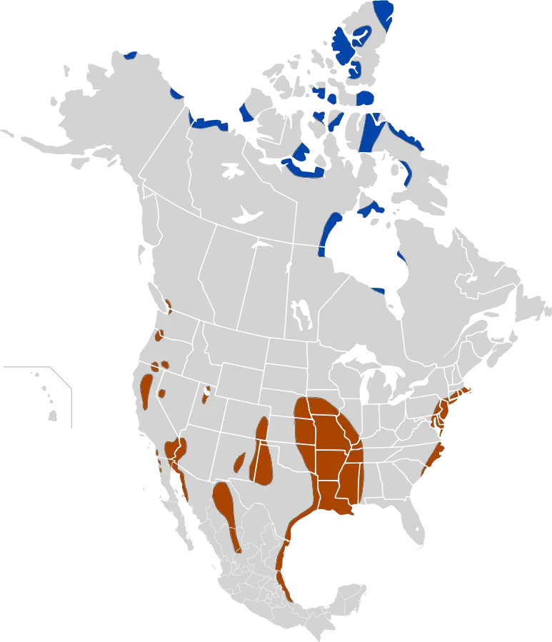 Snow goose habitat map