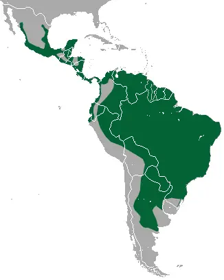 Jaguarundi habitat map