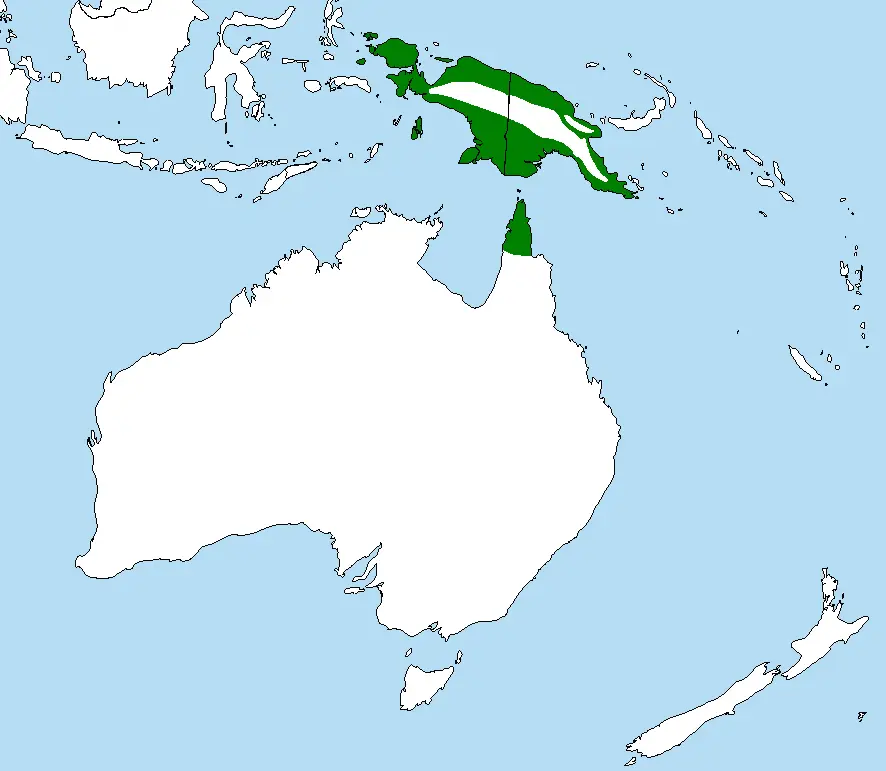 Palm Cockatoo habitat map