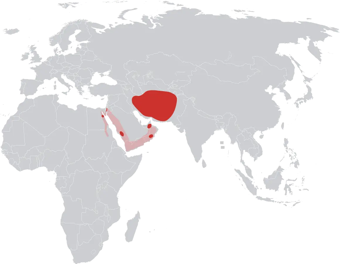 Лисиця афганська карта середовища проживання