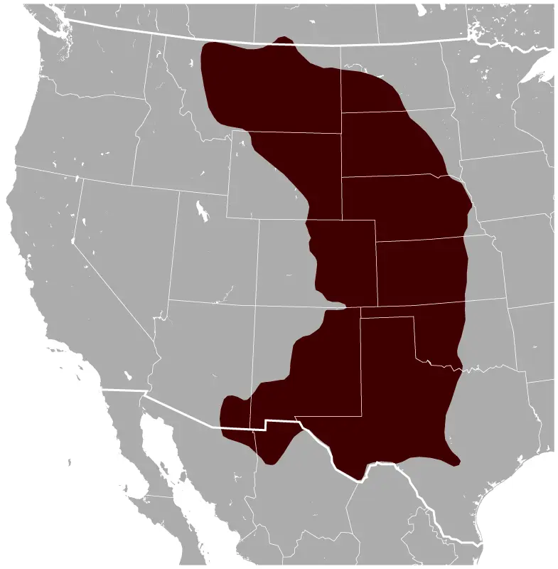 Лучний собачка чорнохвостий карта середовища проживання