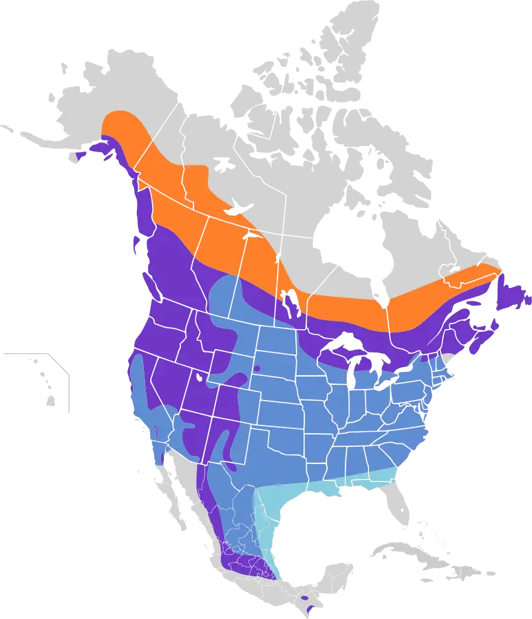 Pine Siskin habitat map