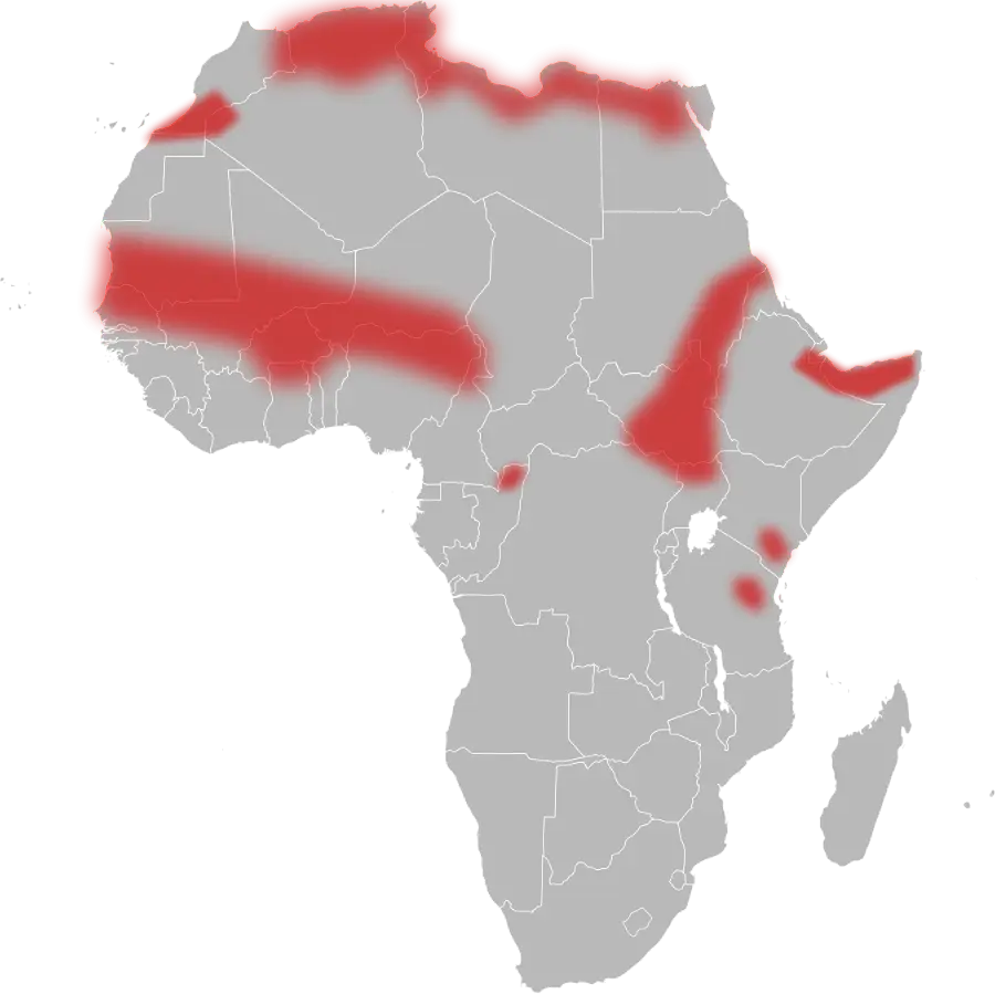 Egyptian Cobra habitat map