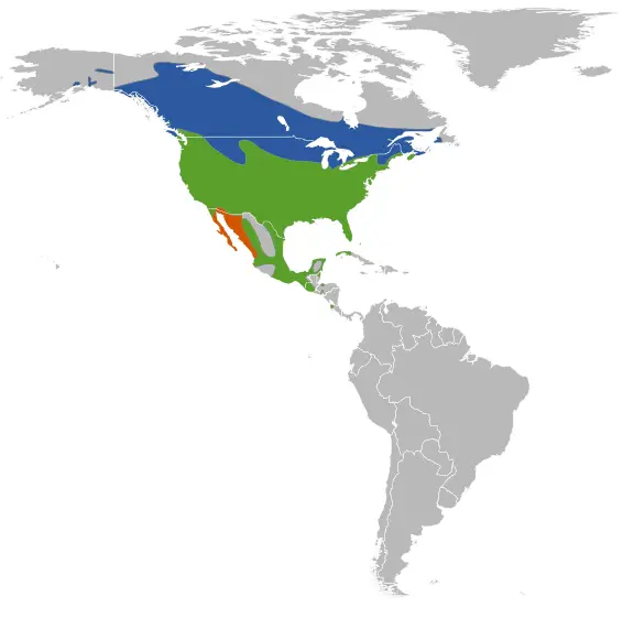 Red-Winged Blackbird habitat map