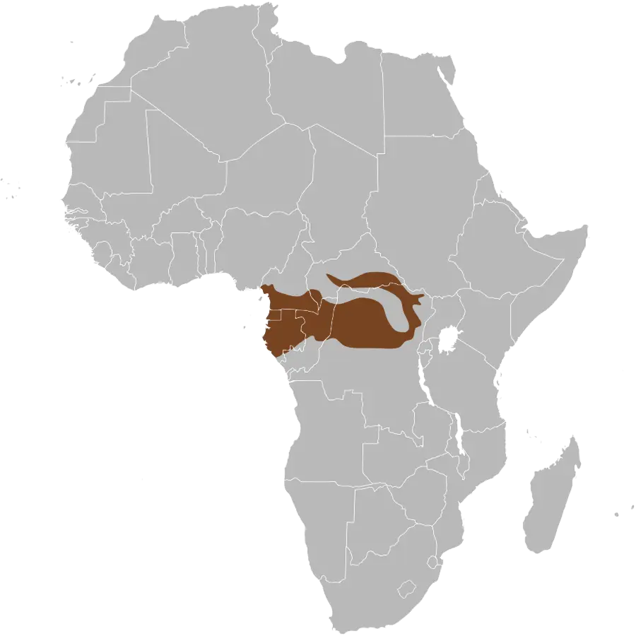 African Forest Elephant habitat map