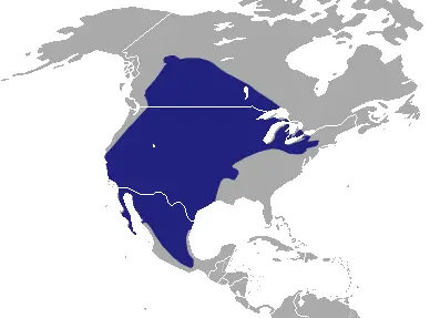 American Badger habitat map