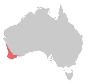 Carnaby's Black Cockatoo habitat map