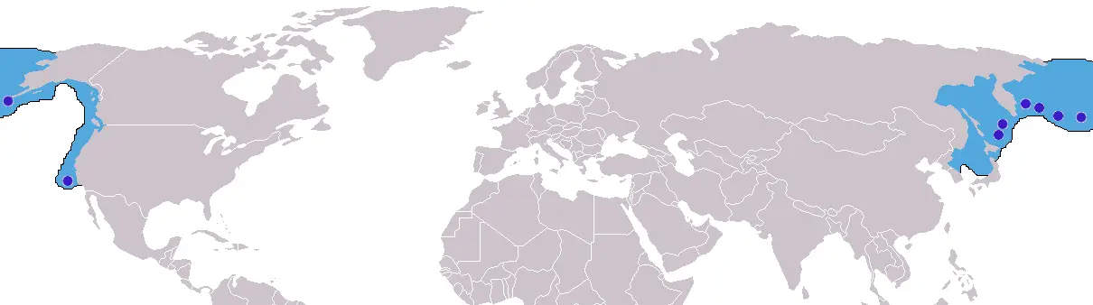 Північний морський котик карта середовища проживання