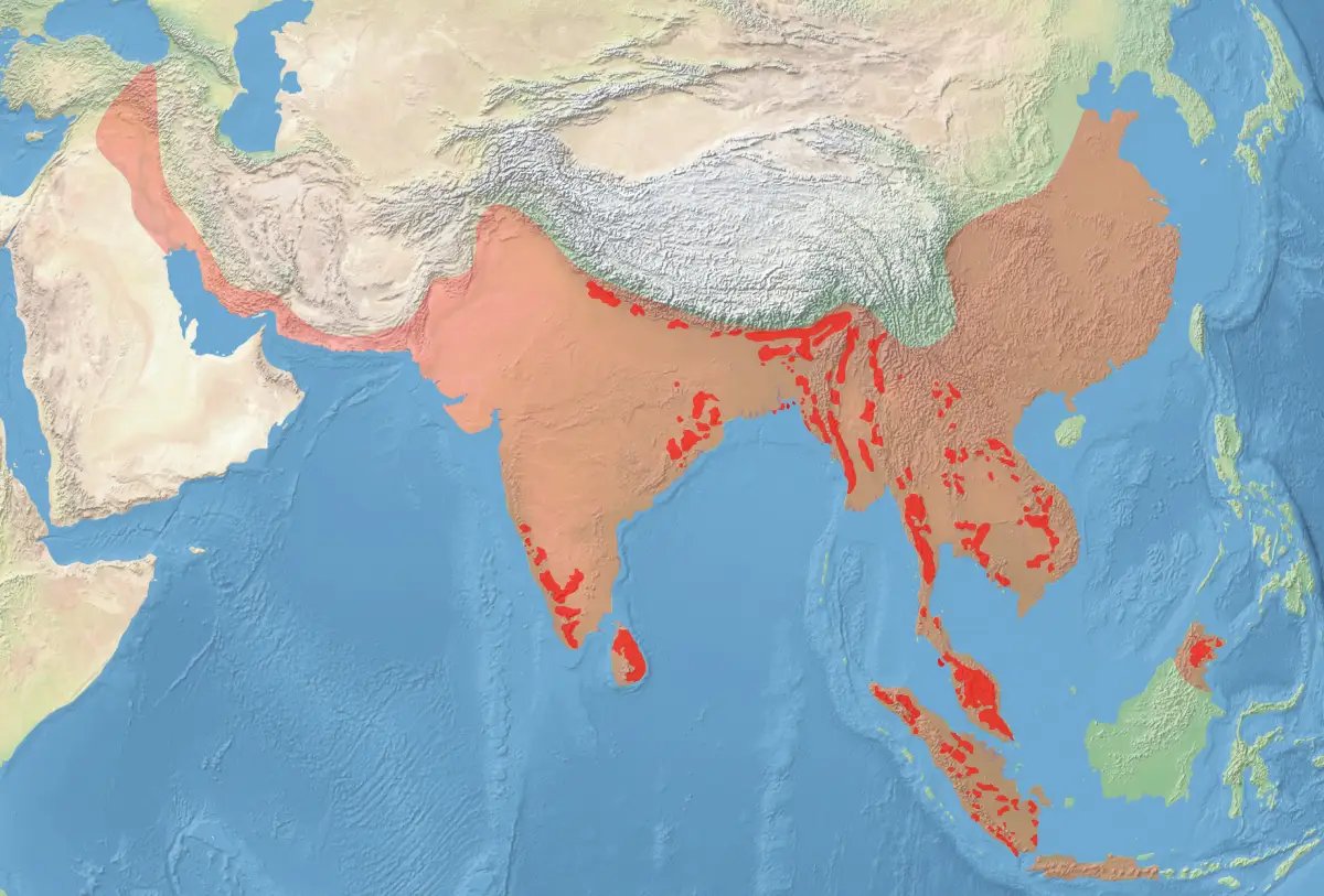 Слон індійський карта середовища проживання