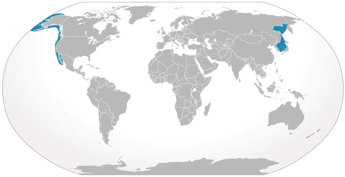 Balena grigia mappa dell'habitat