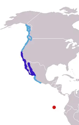 Каліфорнійський морський лев карта середовища проживання