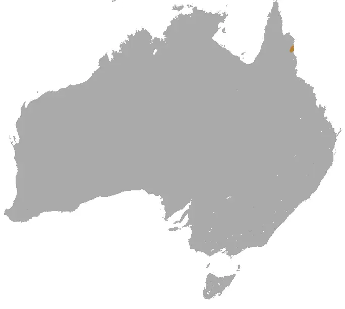 Bennett's Tree-Kangaroo habitat map