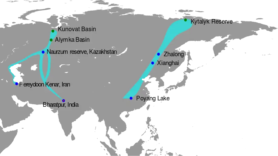 Siberian Crane habitat map