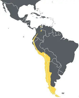 Andean Condor habitat map