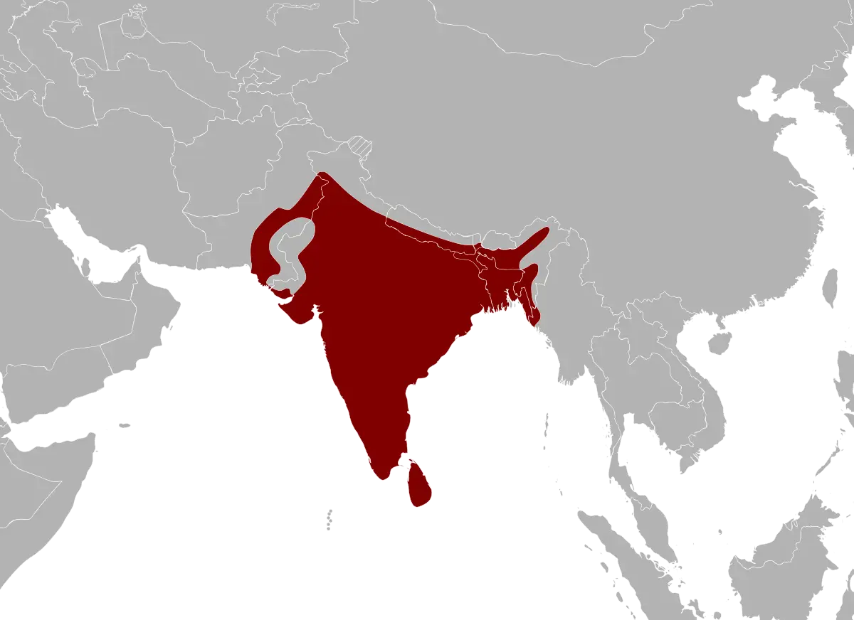 Pitón de la india mapa del hábitat