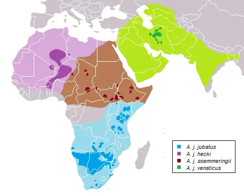 Southeast African Cheetah habitat map
