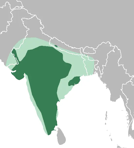 Antílope indio mapa del hábitat