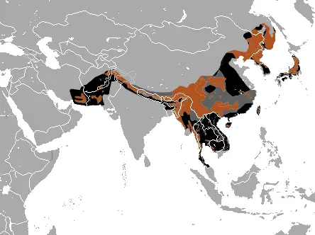 Asiatic Black Bear habitat map