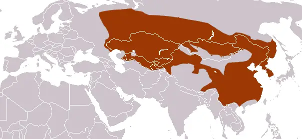 Asian Badger habitat map