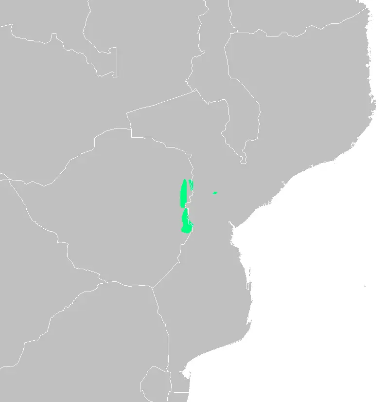 Chirinda apalis habitat map
