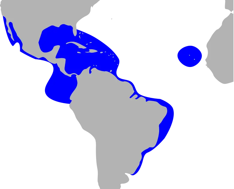 Fragata común mapa del hábitat
