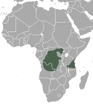 Colobus angolensis карта середовища проживання