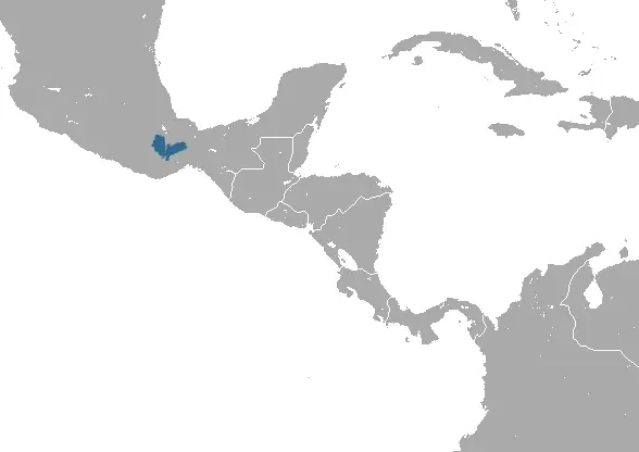 Big Mexican small-eared shrew habitat map