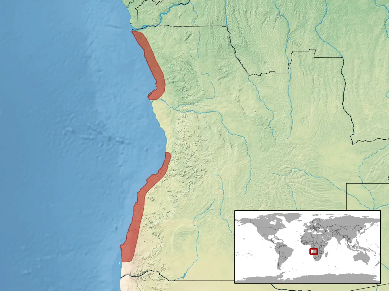 Bitis peringueyi habitat map