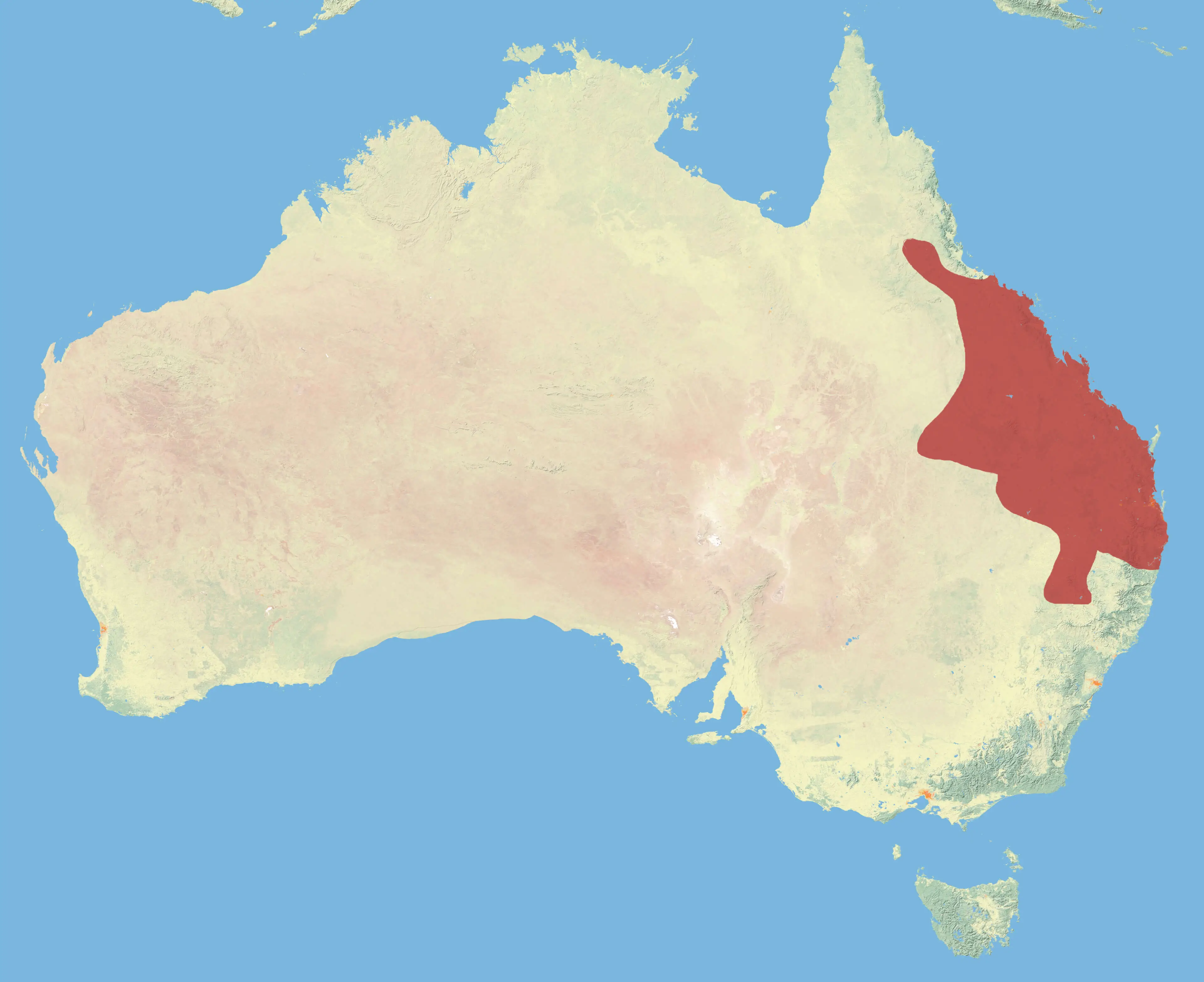 Black-striped wallaby habitat map